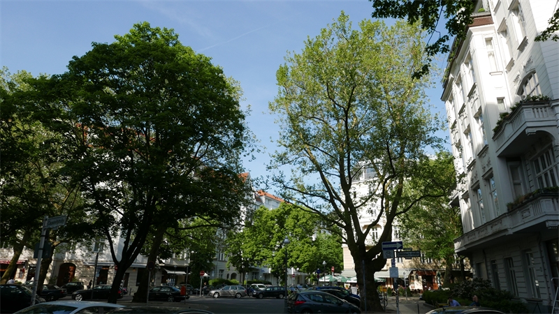 Kümmel Immobilien Charlottenburg