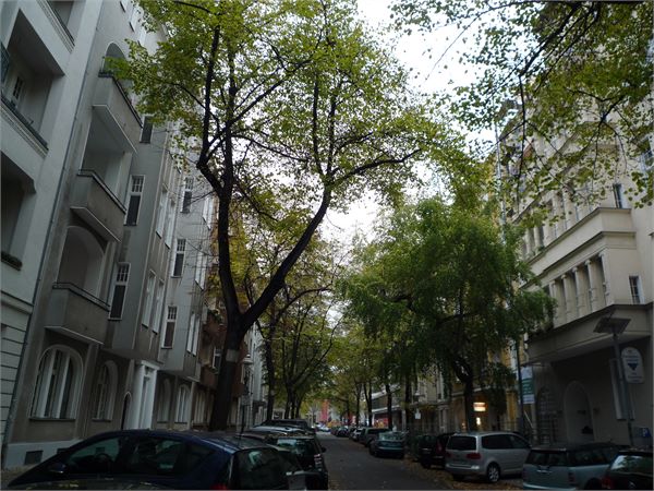 Prachtvolle Jugendstil-Etage mit Lift ( teilgewerblich )