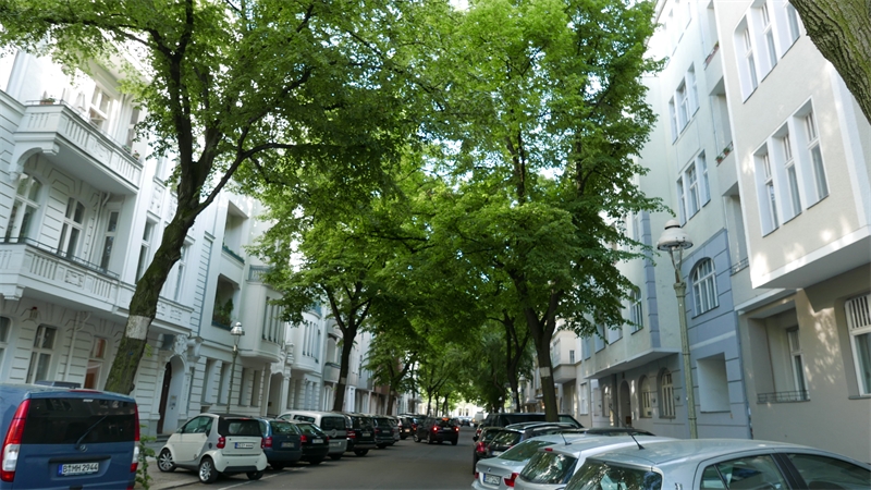 kümmel immobilien wohnung berlin