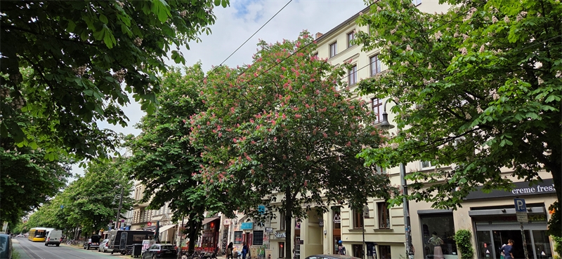 Außergewöhnliches Büroloft mit Dach-Terrasse und Lift