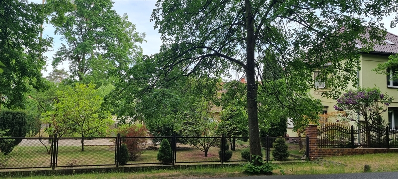 Haus am See: Altbaucharme und neu saniert (provisionsfrei)