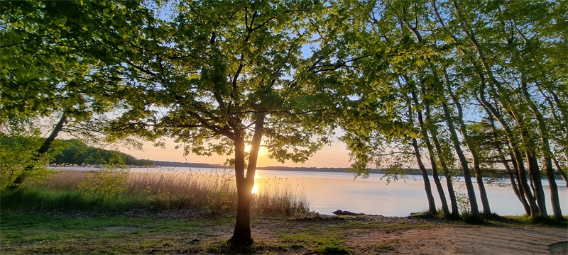 kümmel immobilien wohnung berlin