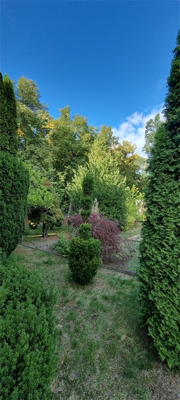 Wohnen in Berlin
