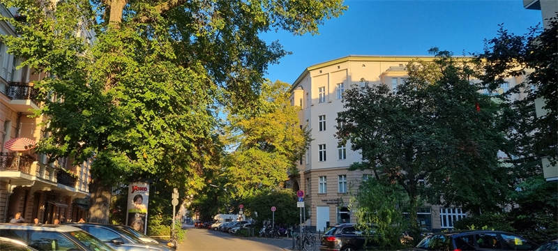 kümmel immobilien