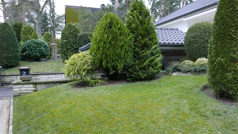 kümmel immobilien