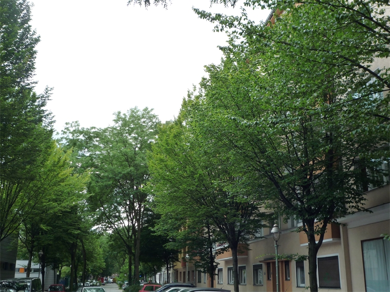 Wohnen in Berlin