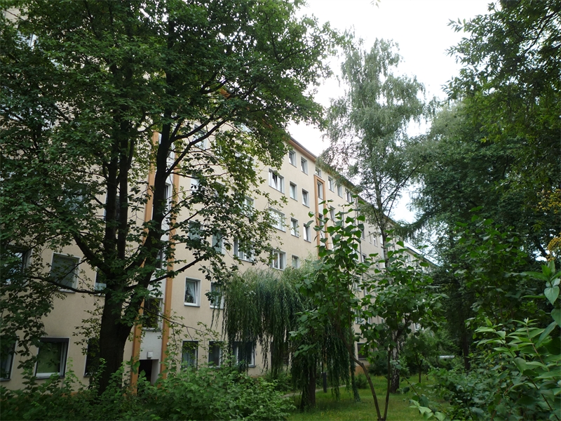 kümmel immobilien