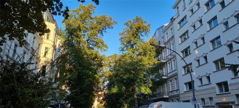 kümmel immobilien