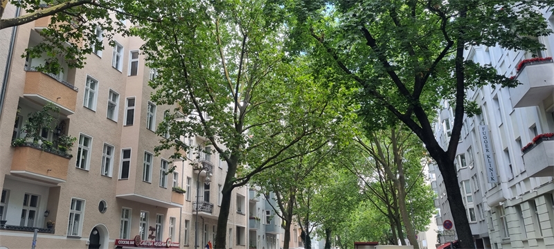 Klassischer Altbau in ruhiger Bestlage, nähe KaDeWe