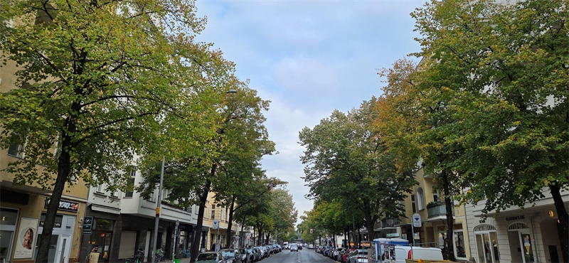 Edler Altbau im Bohemeviertel am Kurfürstendamm – Ansicht 1
